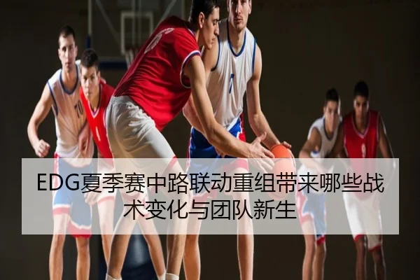 EDG夏季赛中路联动重组带来哪些战术变化与团队新生