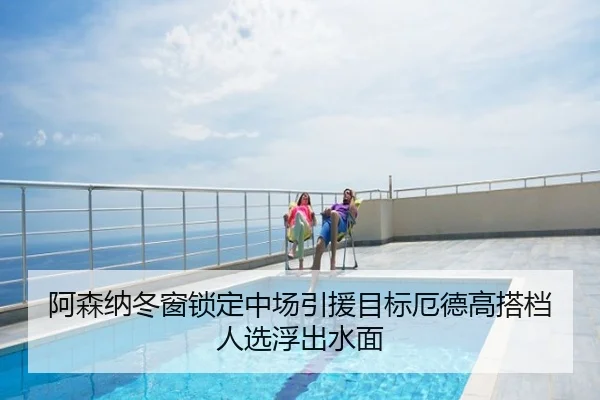 阿森纳冬窗锁定中场引援目标厄德高搭档人选浮出水面