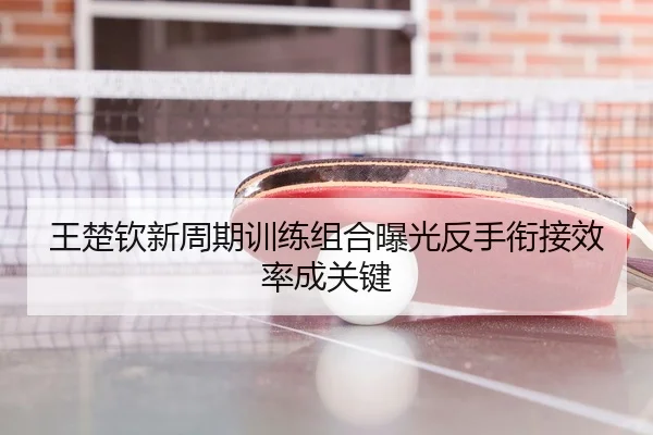 王楚钦新周期训练组合曝光反手衔接效率成关键